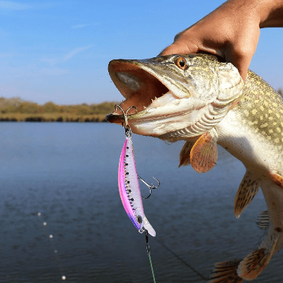 Leurre de Peche - FishingLureBait™ - Rose - Coin Pêcheur