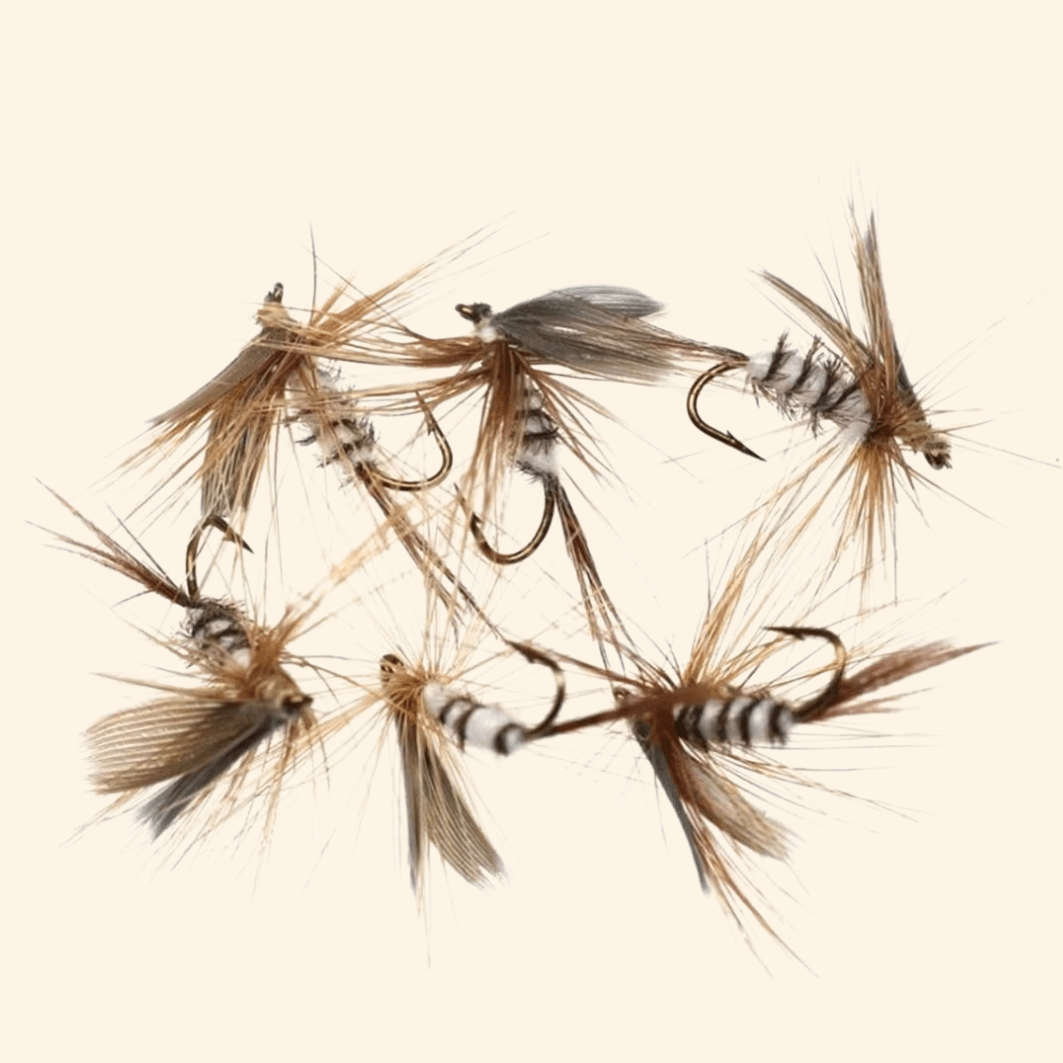 Mouches de Pêche - FlyHook™ - Éphémère - Coin Pêcheur